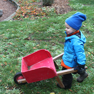 boy pushing wheelbarrow in the garden