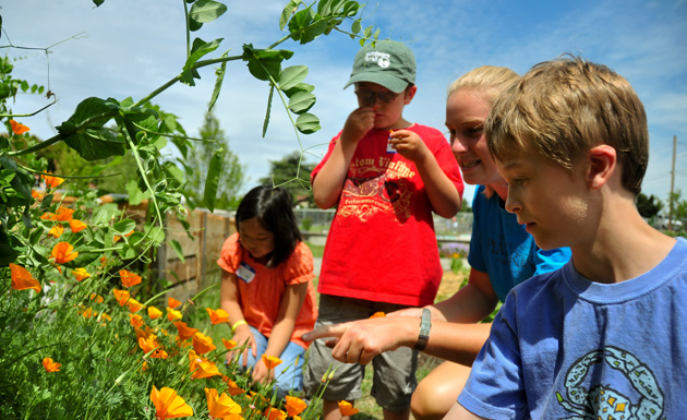 picking flowers