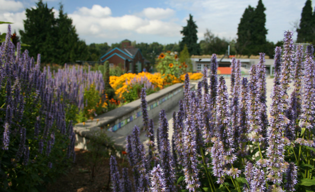 a view of the gardens from the street